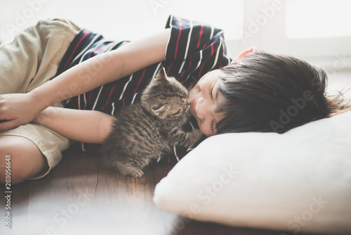 asian child playing with short hair kitten