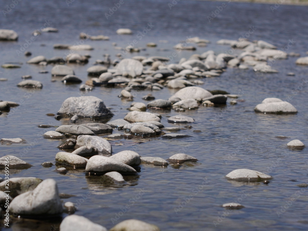 Obraz premium 川の小石