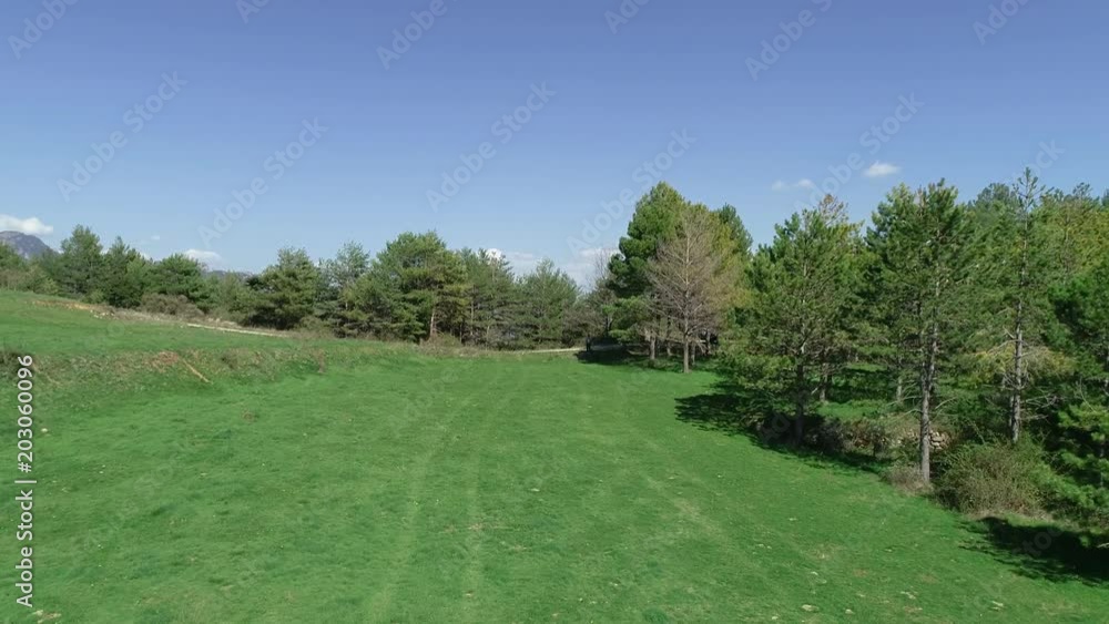 Aerial views of trees