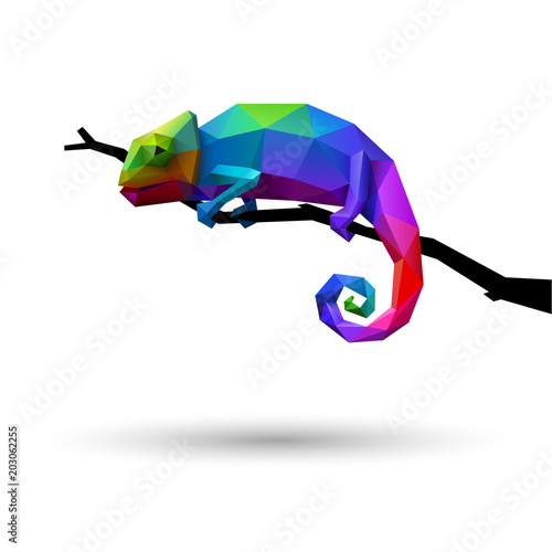 Colorful chameleon, logo concept of creativity and adaptability, low poly, eps10 vector
