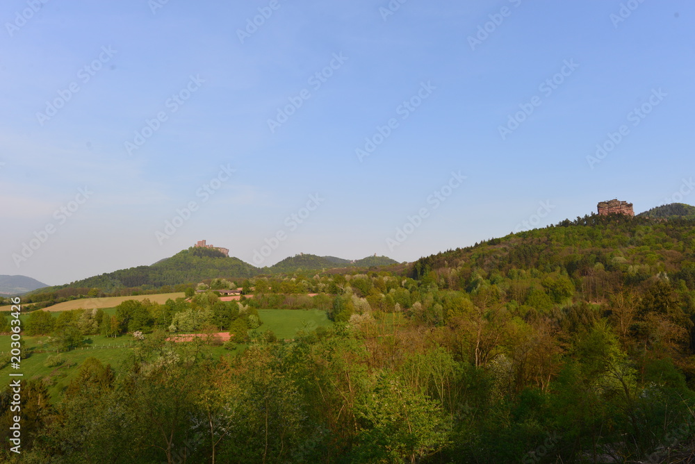 Asselstein und Burg Trifels im Pfälzerwald 