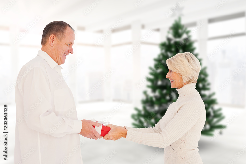 Fototapeta premium Couple exchanging gift against home with christmas tree