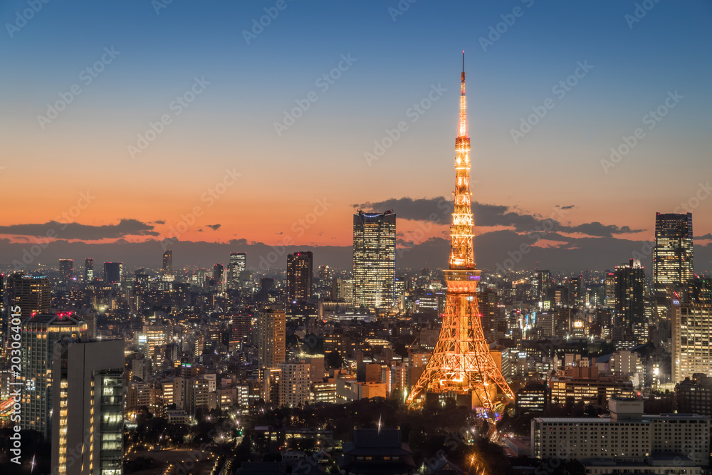 Tokyo city view with Tokyo Tower at night