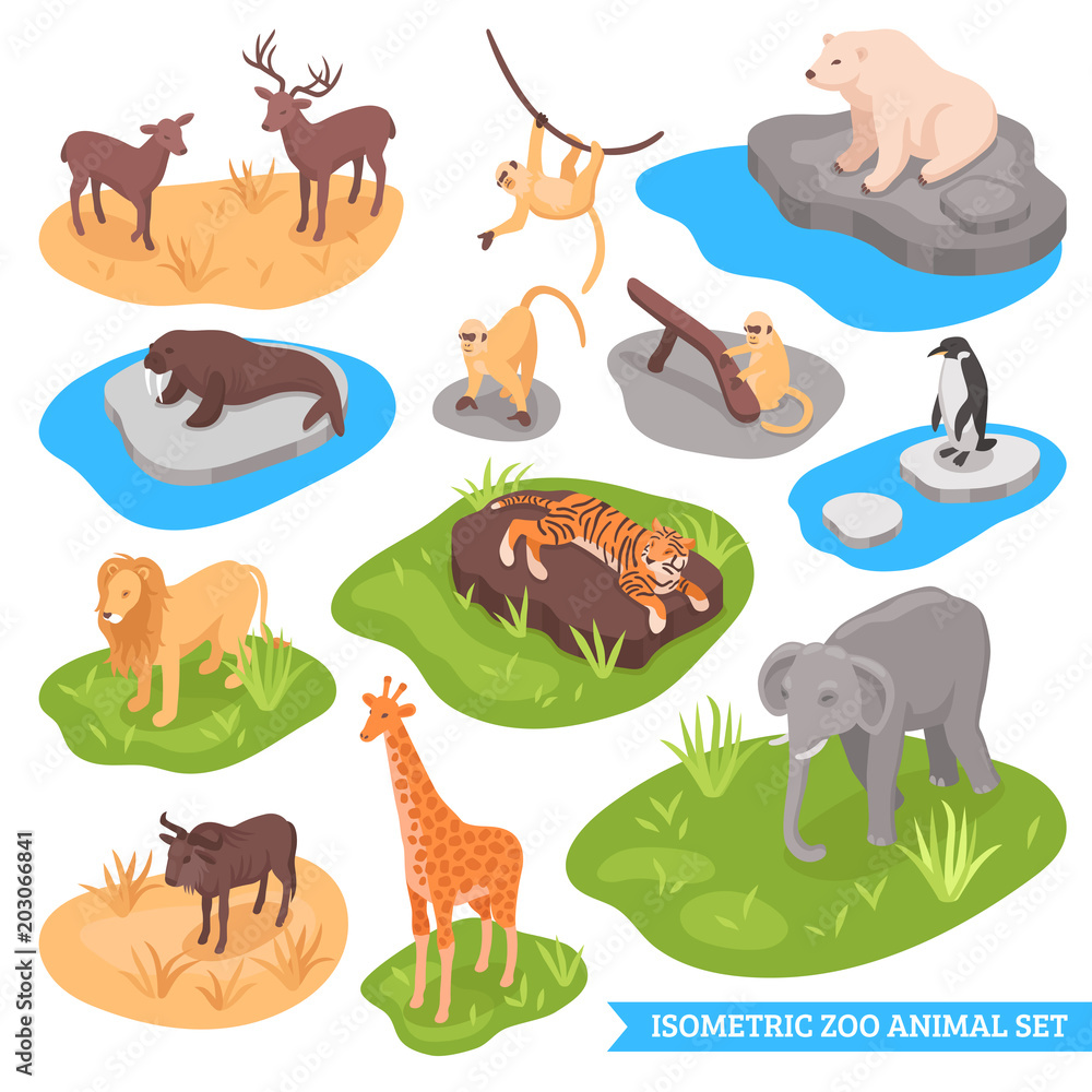 Obraz premium Isometric Zoo Animal Set
