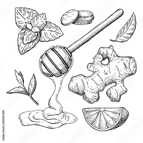 Honey, ginger, lemon and mint vector drawing. Jar, wooden spoon,
