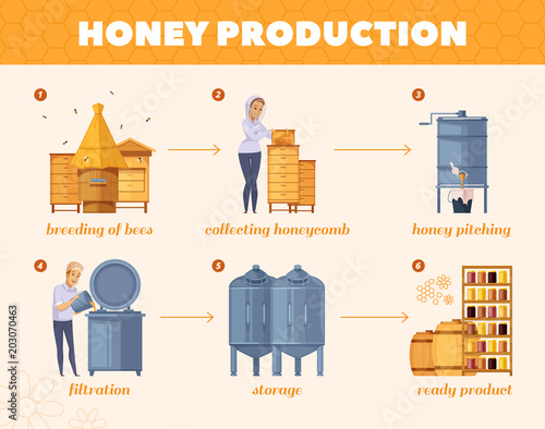 Honey Production Process Cartoon Flowchart 