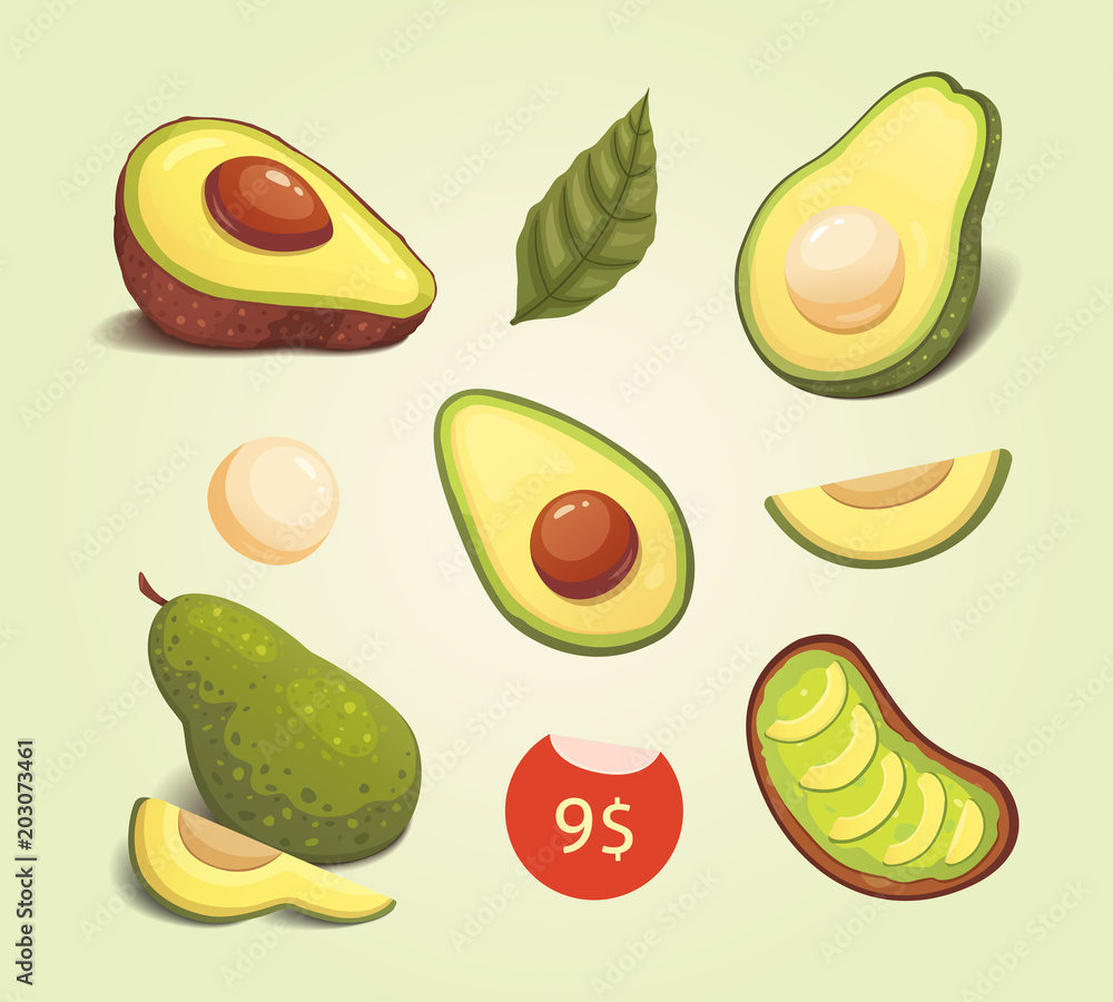 Set realistic fresh avocado fruit. Slice and whole avocados. Vegan food vector illustration in cartoon style. Set realistic fresh avocado fruit. Slice and whole avocados. Vegan food vector illustration in cartoon style.