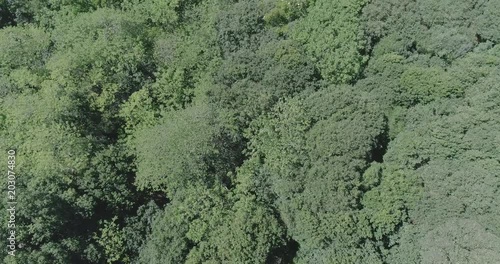 Wallpaper Mural vuelo sobre arboles y plantaciones a la orilla del rio parana Torontodigital.ca