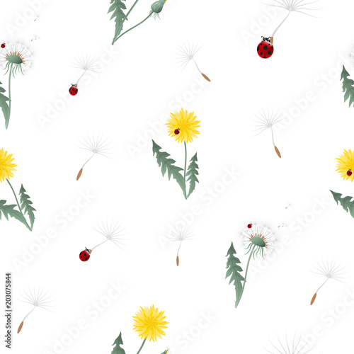 Dandelion yellow flowers and head seeds flying with ladybugs seamless pattern. Surface floral design. Great for vintage fabric, wallpaper, giftwrap, scrapbooking. Wildflowers on white background