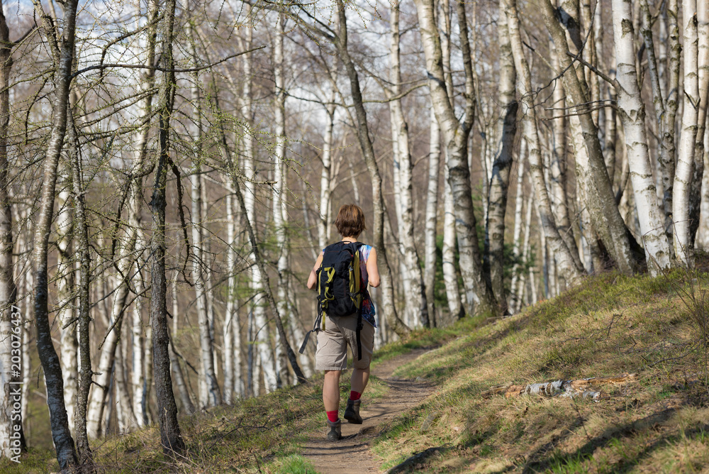Woman hiking in the forest, one person walking in woodland, backpacking summer adventure travel, rear view, toned image Woman hiking in the forest, one person walking in woodland, backpacking summer adventure travel, rear view, toned image