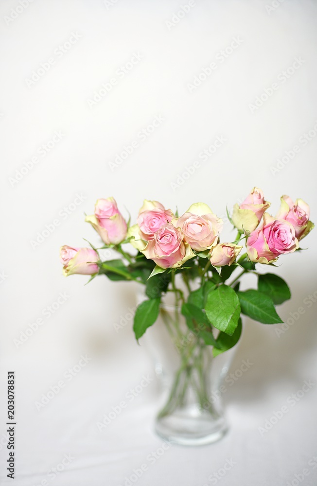 szklany wazon z różami - obrazy, fototapety, plakaty 