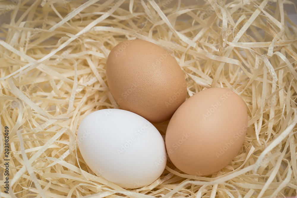 Three chicken eggs lie in a nest of straw, shot close-up Three chicken eggs lie in a nest of straw, shot close-up