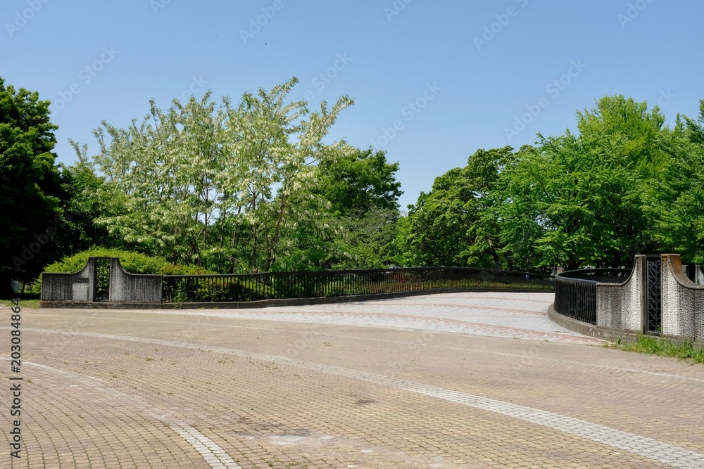 Obraz premium 新緑の公園