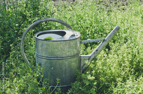 Old metal galvanized watering can in the spring green garden