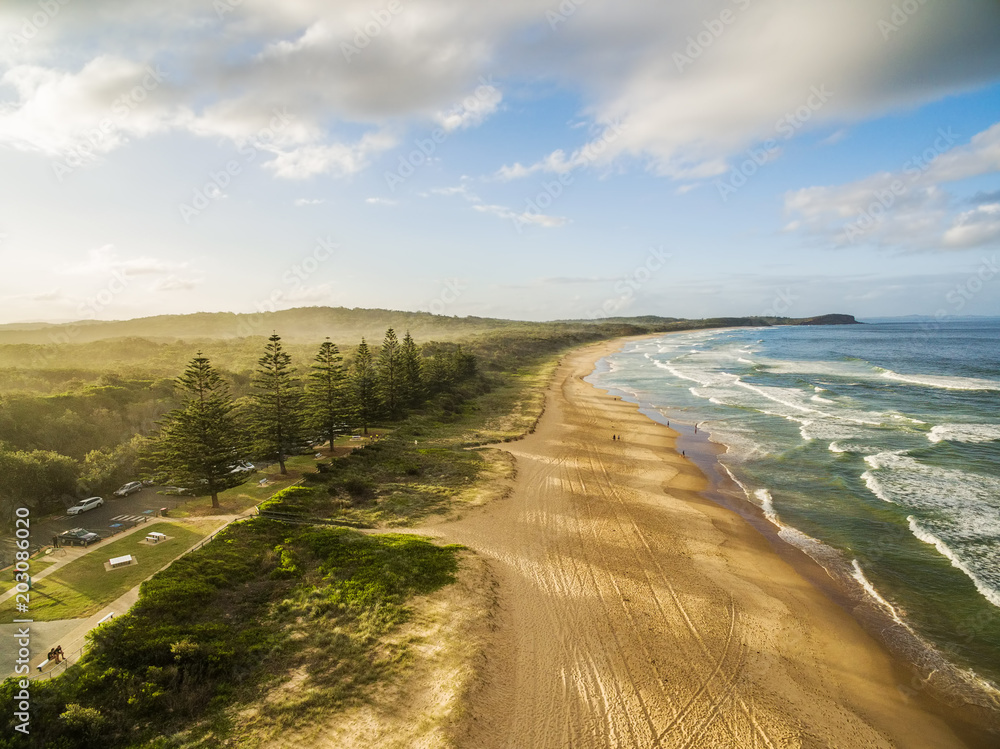 Aerial view of beautiful ocean coastline, sandy beach, and trees casting long shadows at sunset