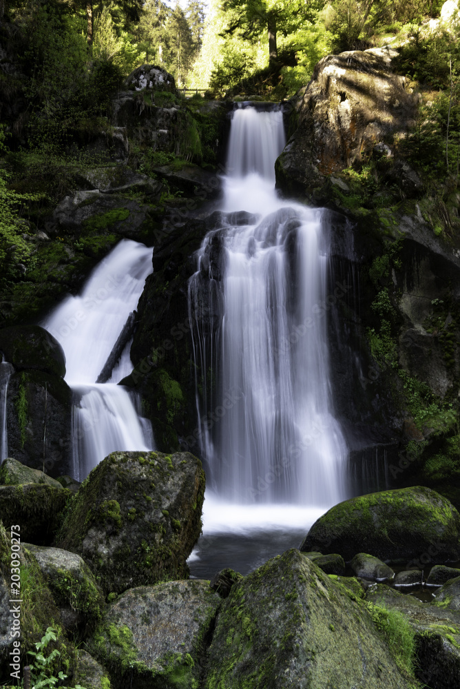 Fototapeta premium Triberg