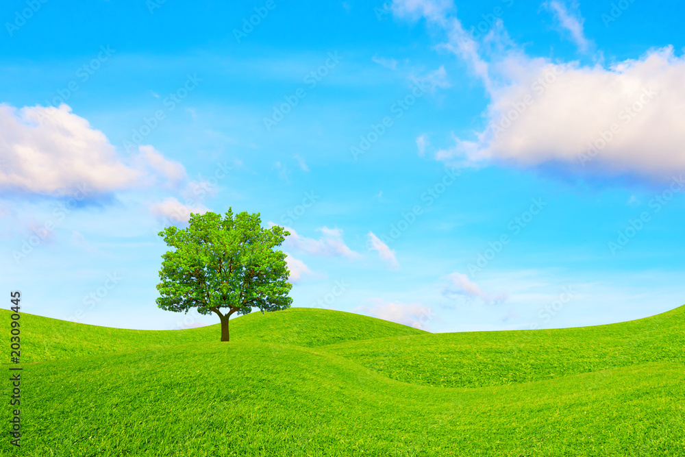 Obraz premium Oak, hills and sky