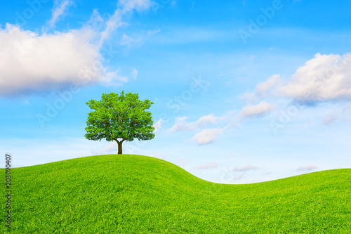 Tree, hill and blue sky