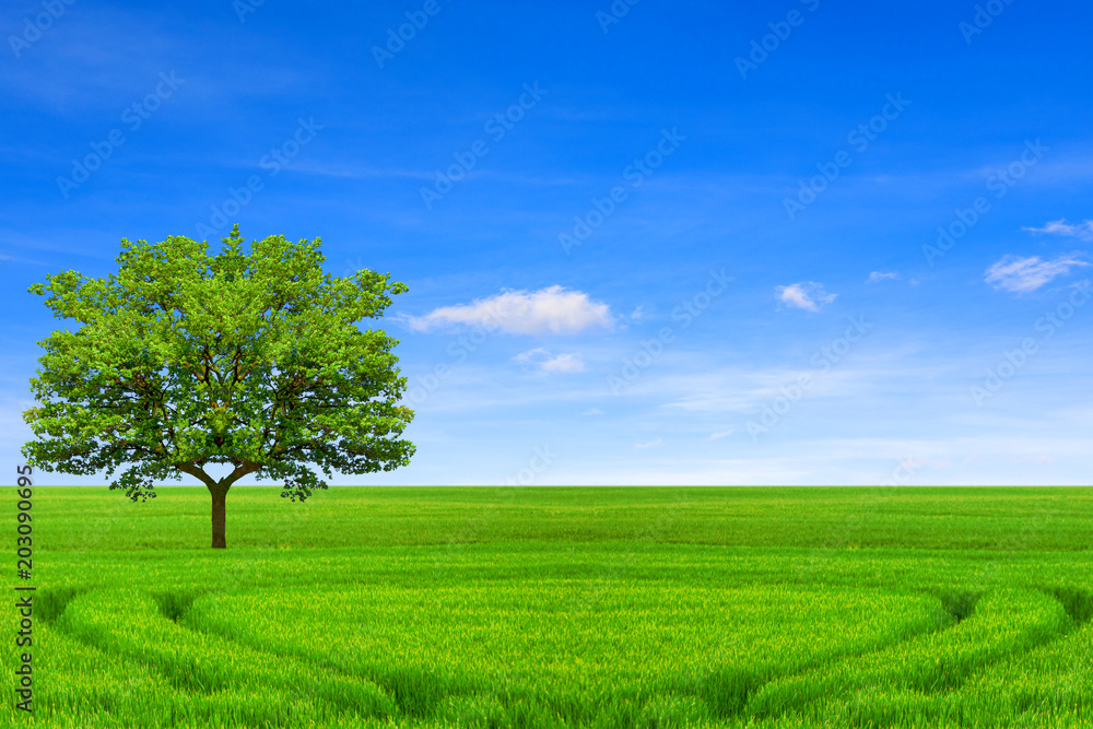 Ecology concept. Tree, field and beautiful sky