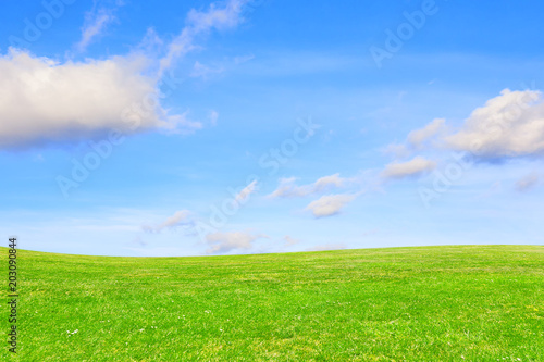 Green meadow under clear sky. Green earth