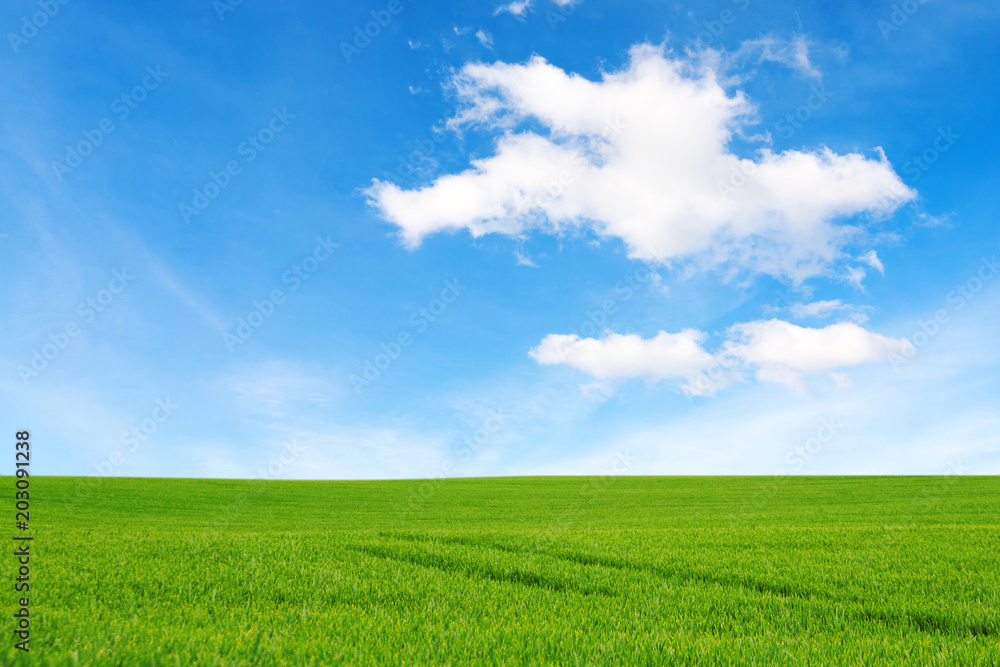 Meadow and beautiful sky Meadow and beautiful sky