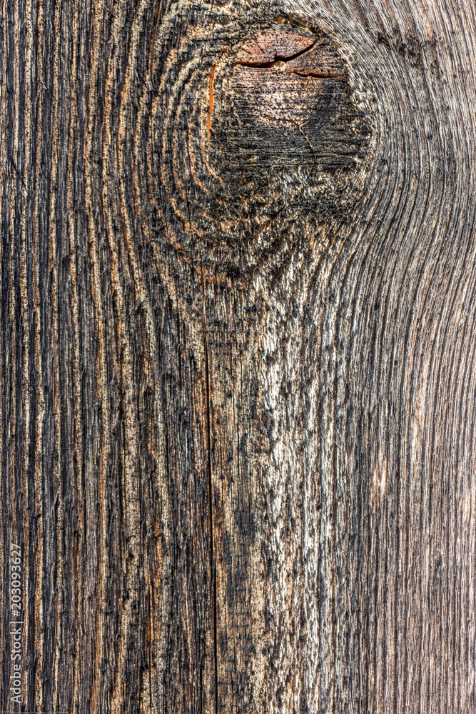 Surface of old wood eroded by time. Close-Up Surface of old wood eroded by time. Close-Up