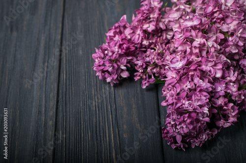 The beautiful lilac flowers on a dark wooden background