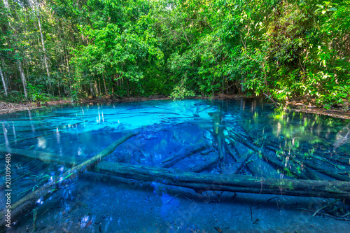 Fototapeta Naklejka Na Ścianę i Meble -  Beautiful Emerald pool in deep Forest at Krabi THAILAND