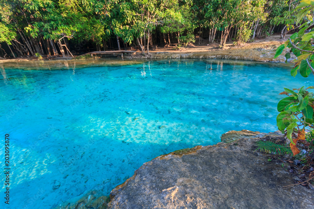 Beautiful Emerald pool in deep Forest at Krabi THAILAND