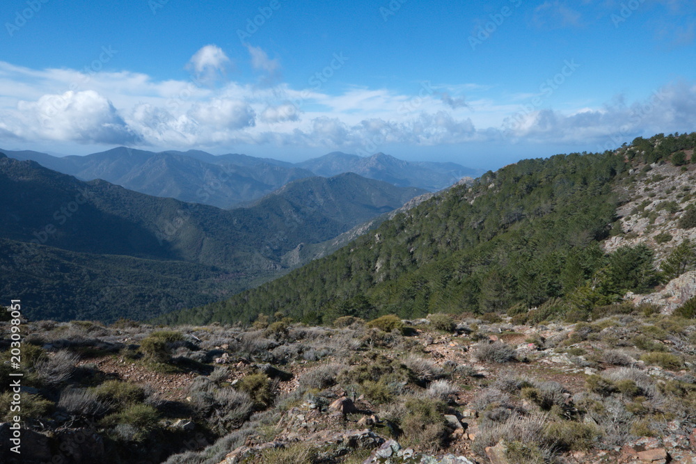 Corsican Mountain View