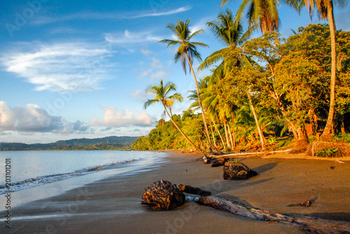 The black sand beach of Bahia Drake at sunset