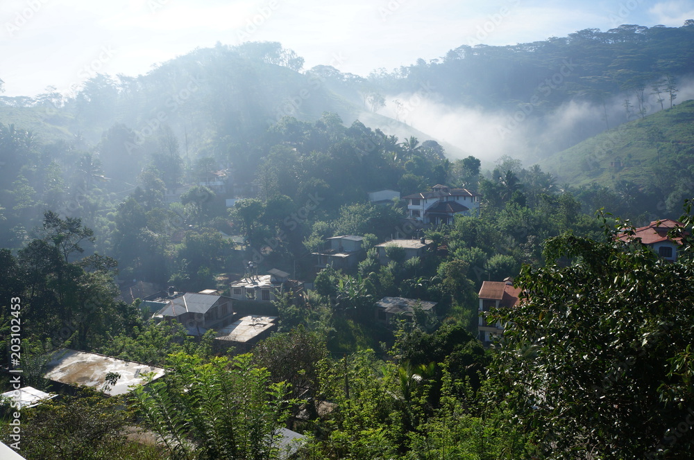 Foggy morning in the mountains. Kandy. sri lanka