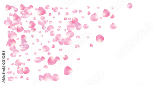 Wedding Sakura Cherry, Rose Petals Floral Confetti. Shower Vector Peach Apple Blossom Soft Sakura Cherry and Rose Confetti Falling Down. Windy Floral Design, Natural Cosmetics Decoration.