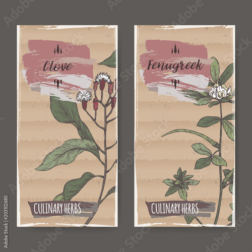 Set of two labels with clove and fenugreek hand drawn color sketch.