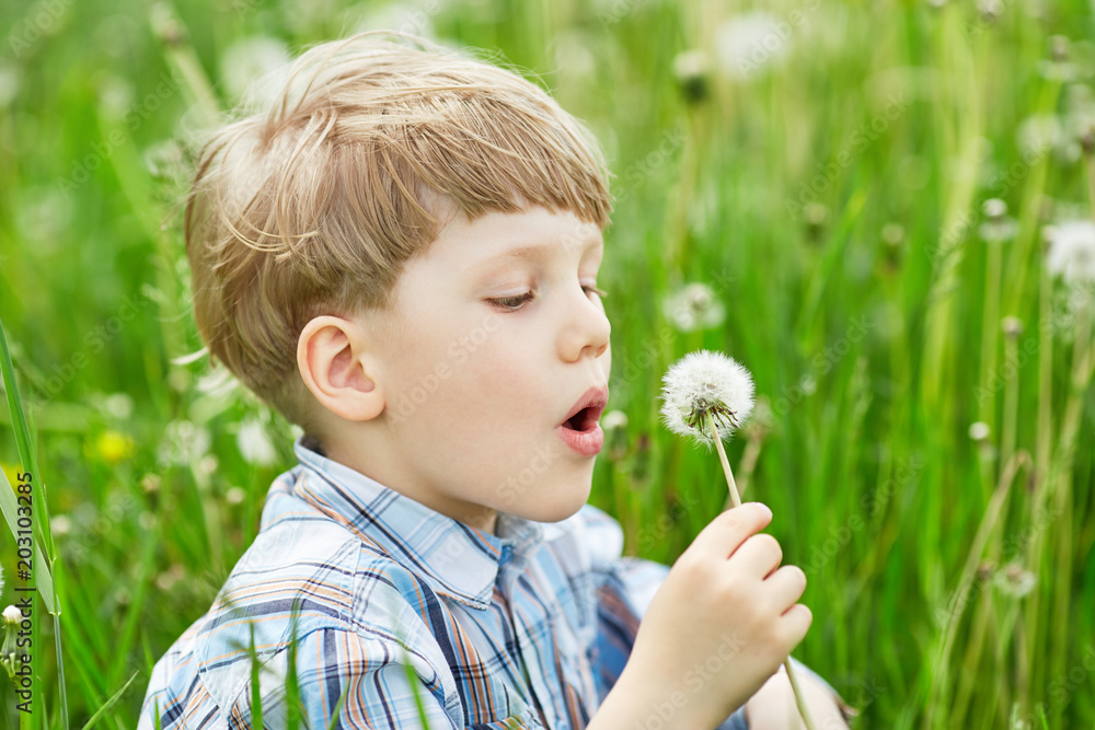 Young blond boy in meadow blowing on dandelion seeds. Summer outdoor Young blond boy in meadow blowing on dandelion seeds. Summer outdoor