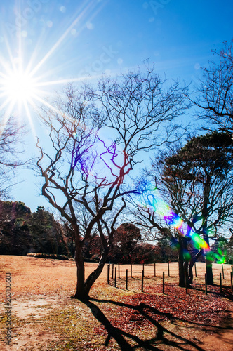 Park at Former Hotta house in Sakura city, Chiba, Japan photo