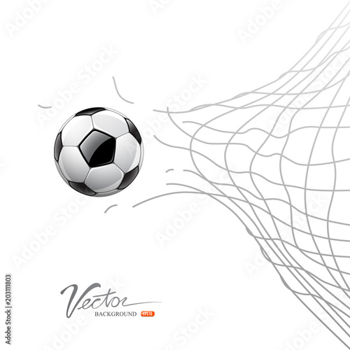 Soccer ball through net isolated on white background, vector illustration
