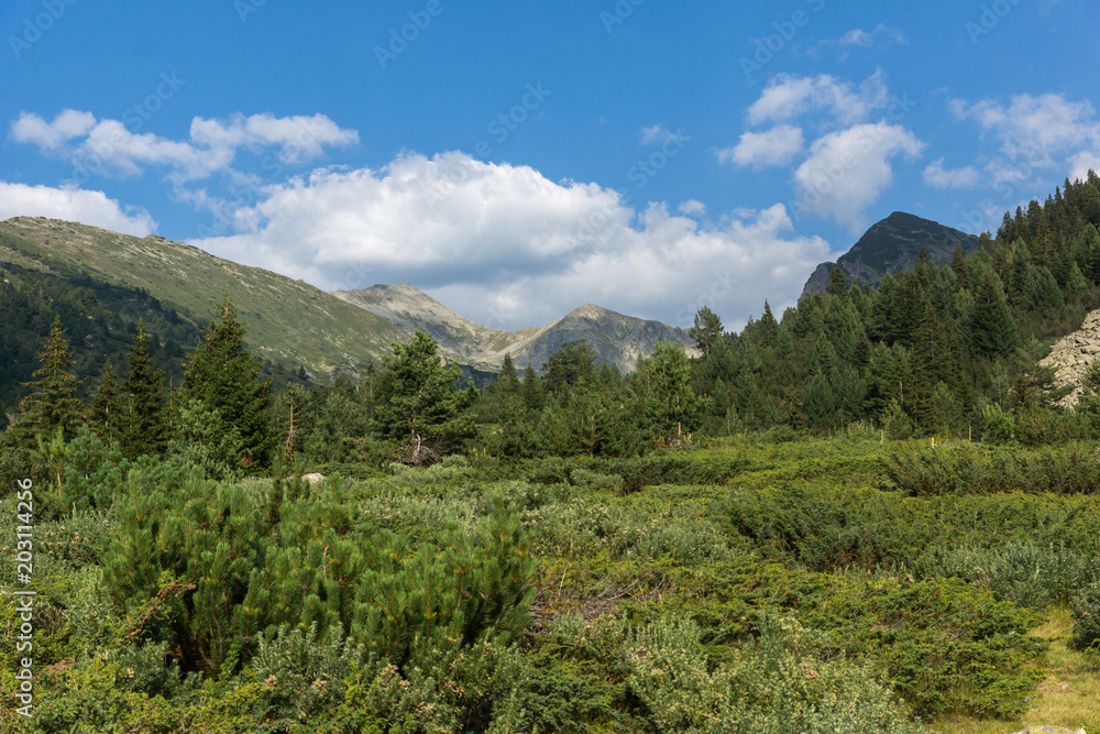 Amazing Landscape of Yalovarnika  peaks and Begovitsa River Valley, Pirin Mountain, Bulgaria