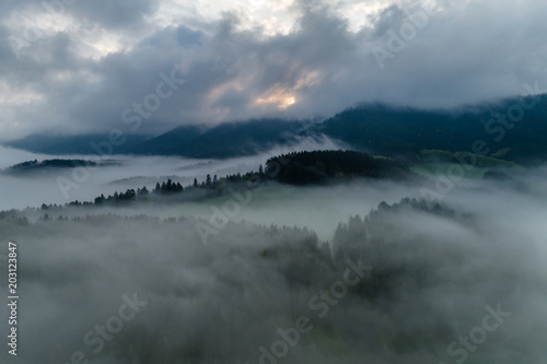 Schwarzwald von oben - Nebel
