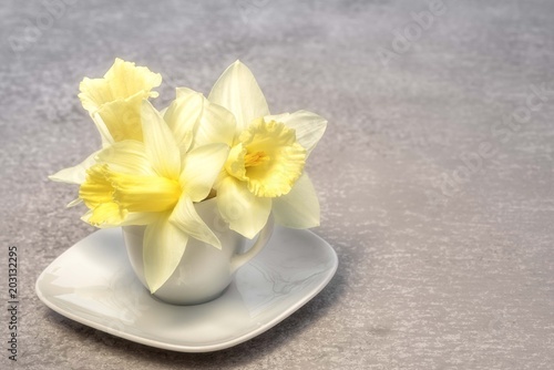 Fototapeta Naklejka Na Ścianę i Meble -  three yellow narcissus bouquet in a coffee cup instead of vase with copy space for your greetings text
