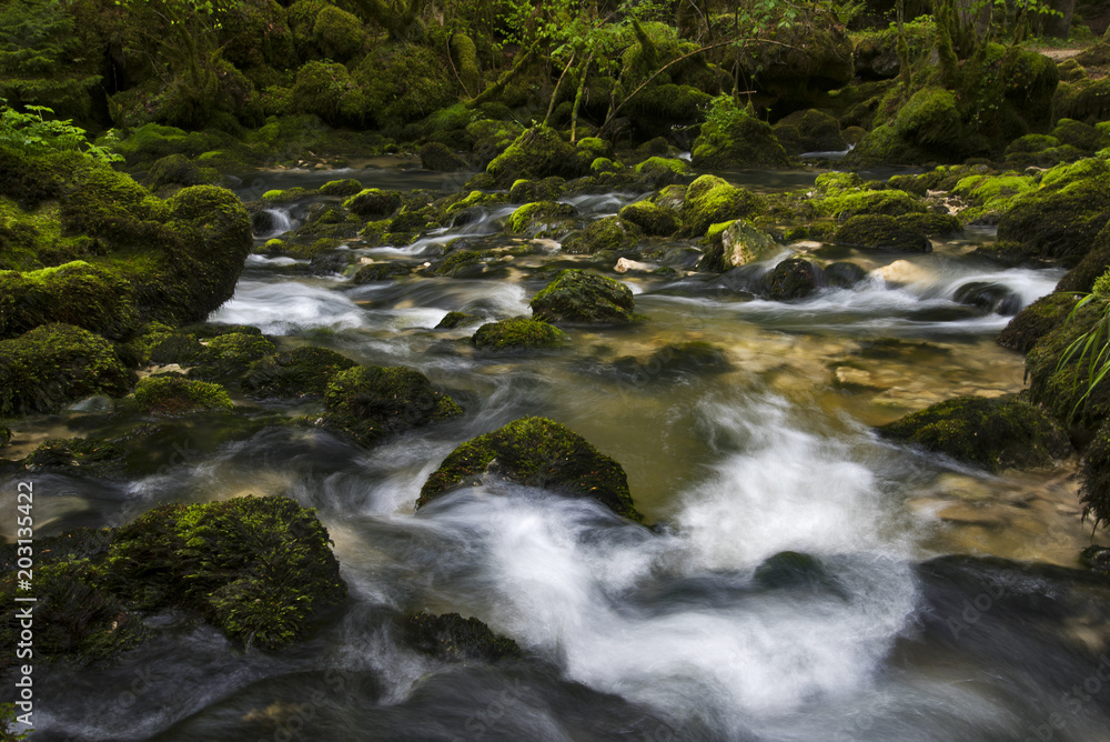 Rivière, remous et mousse verte sur les rochers