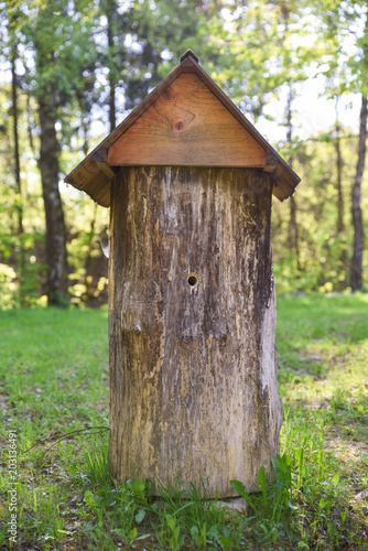 Ancient hive in the middle of forest glade, made from trunk of tree, named the duplyanka or bort