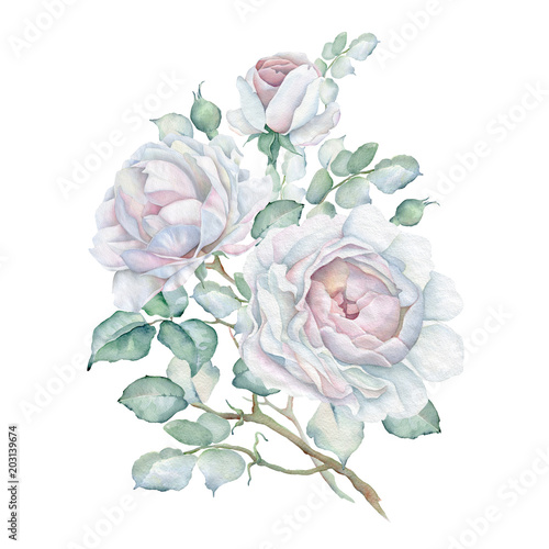 Naklejka Akwarela Vintage Bukiet białych róż