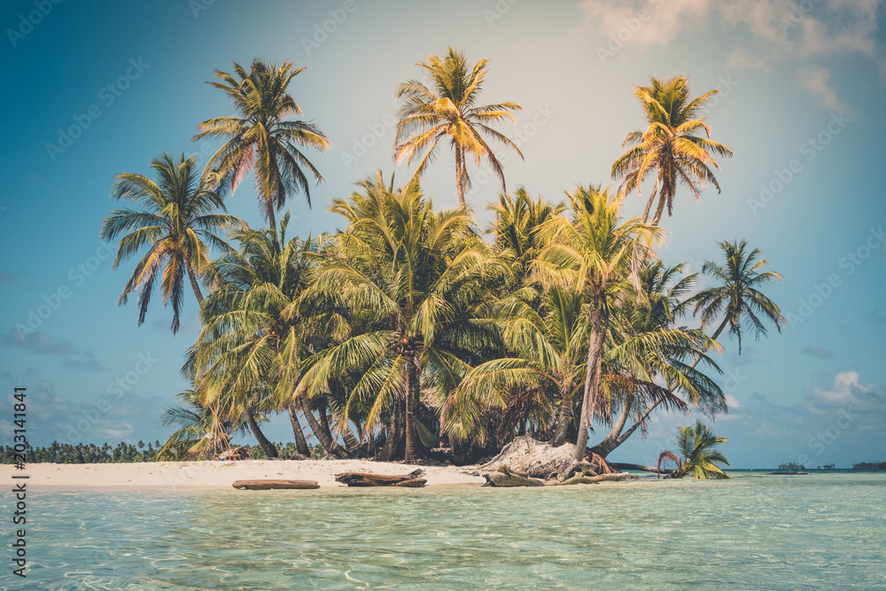 tropical island - palm tree, beach and ocean