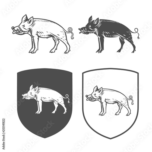 4306369 Vector heraldic shields with boar.