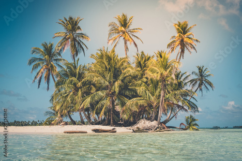 Fototapeta Naklejka Na Ścianę i Meble -  tropical island - palm tree, beach and ocean