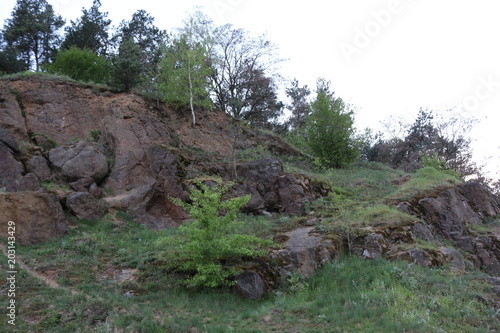 Rocks covered with trees