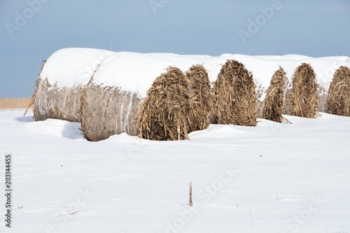 Round Bales in Snow