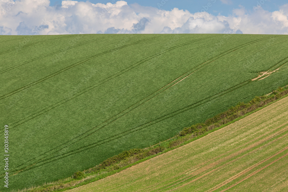 Green Fields in Springtime Green Fields in Springtime