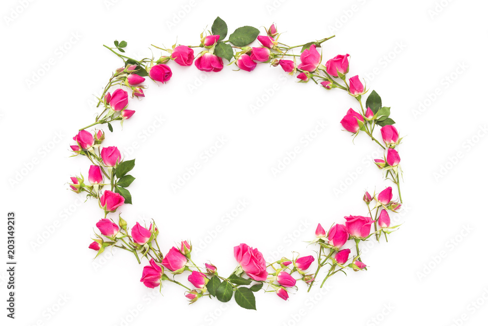 Small pink roses on a white background Small pink roses on a white background